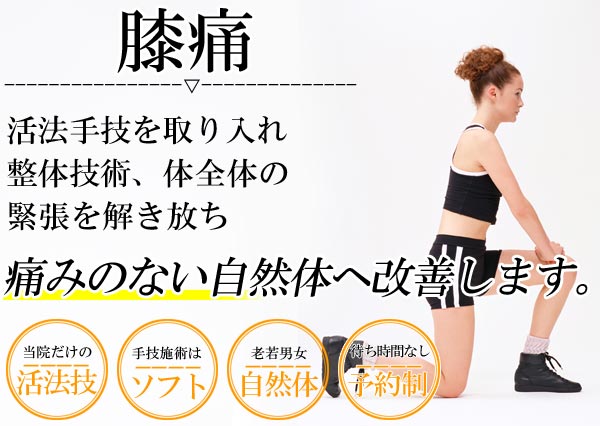 膝痛は名古屋のしらさぎ活法整体院トップ