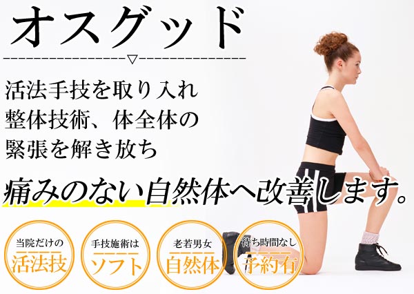 オスグッドは名古屋のしらさぎ活法整体院トップ