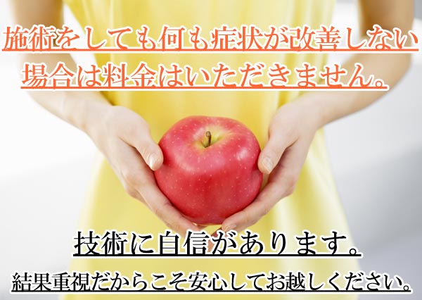 スタイル矯正 しらさぎ活法整体院名古屋の金額保証