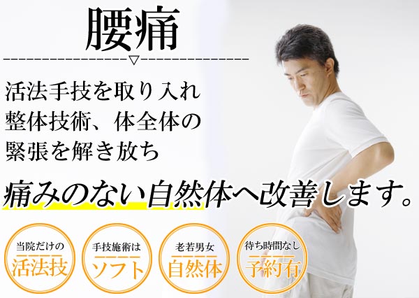 腰痛は名古屋のしらさぎ活法整体院トップ