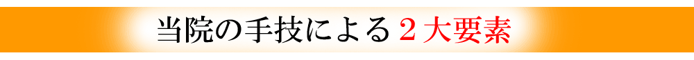 しらさぎ活法整体院名古屋２大要素