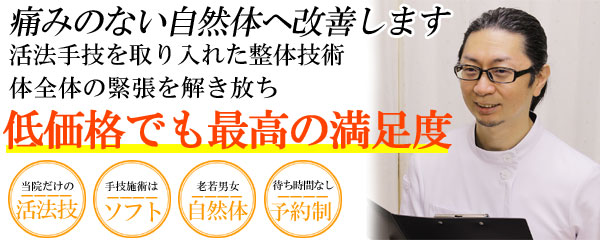 しらさぎ活法整体院名古屋の合気道院長